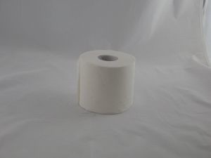 premiumtoiletpaper__45802_zoom